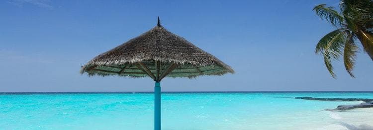 Make your customers feel home : Best Hotel & Resort Website Templates