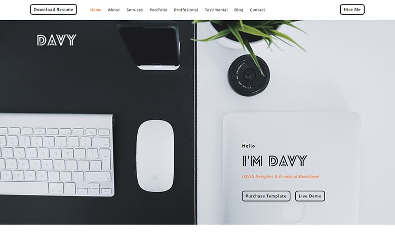 Davy-Del – Free Portfolio Website HTML Template