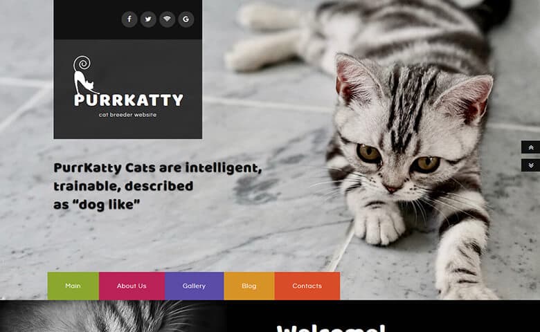 Purrkatty – Free Responsive Pet Website Templates