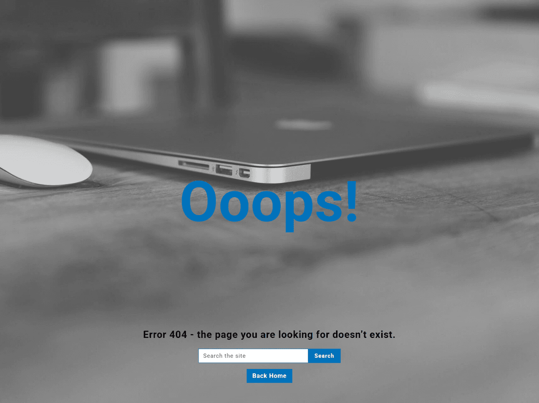 Professional 404