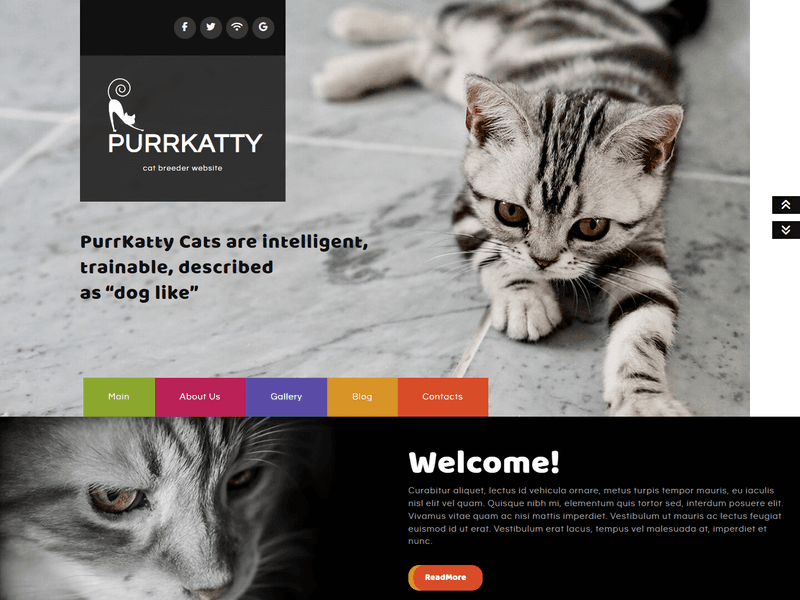 Purrkatty – Free Responsive Pet Website Templates