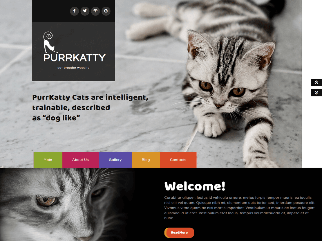 Purrkatty