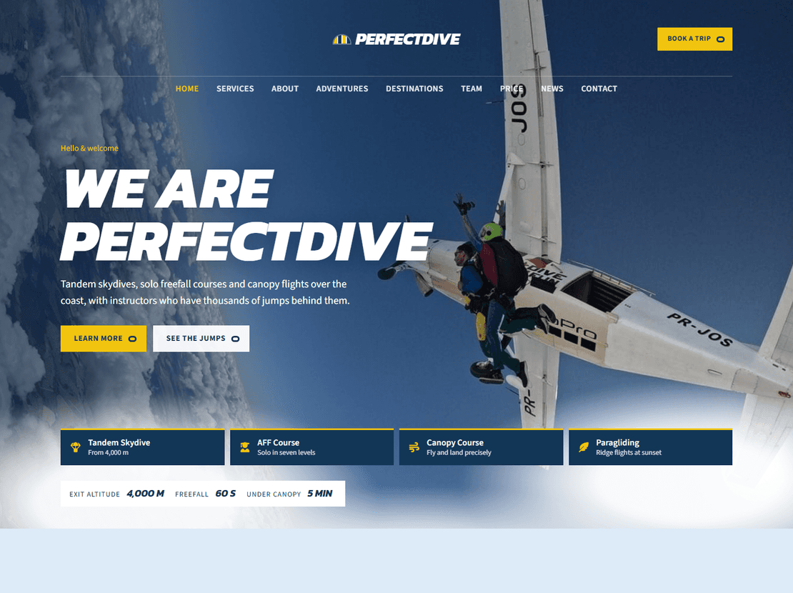 Perfectdive template preview