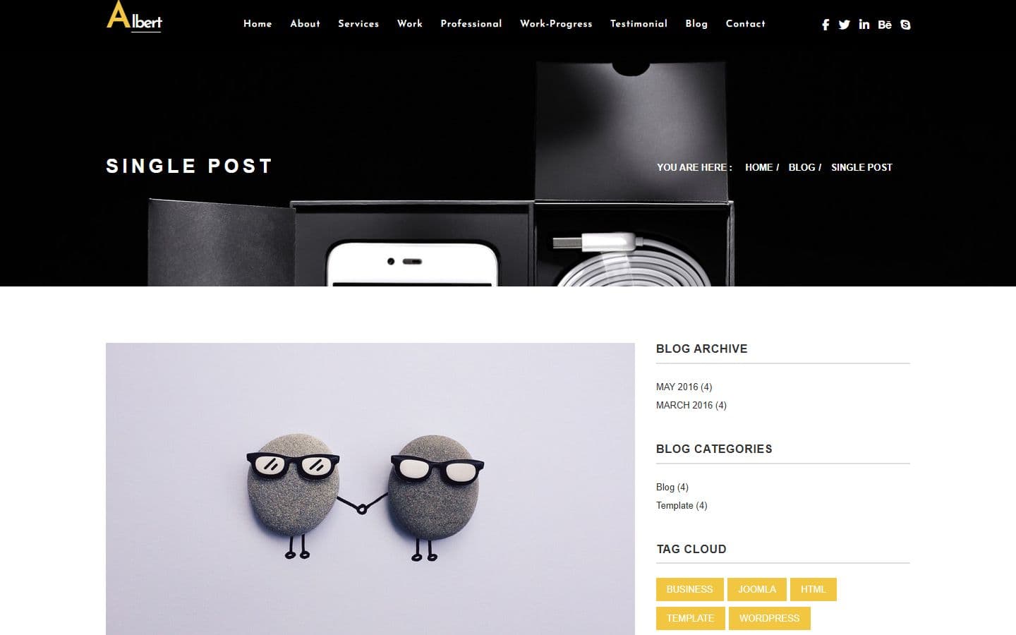 Albert Blog details page