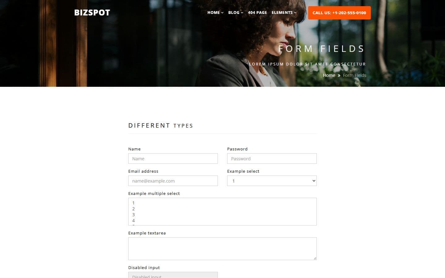BizSpot Form fields page
