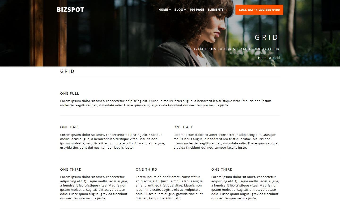 BizSpot Grid page