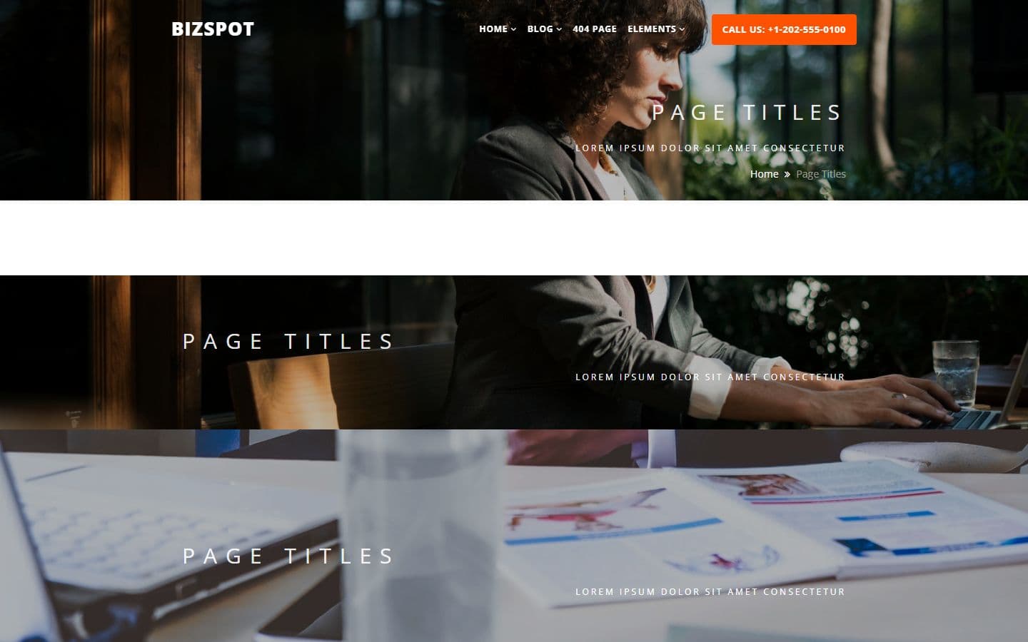 BizSpot Page titles page
