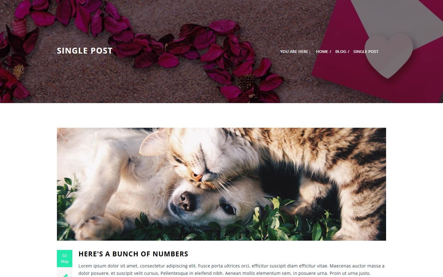 Edwin-Eden Blog details page
