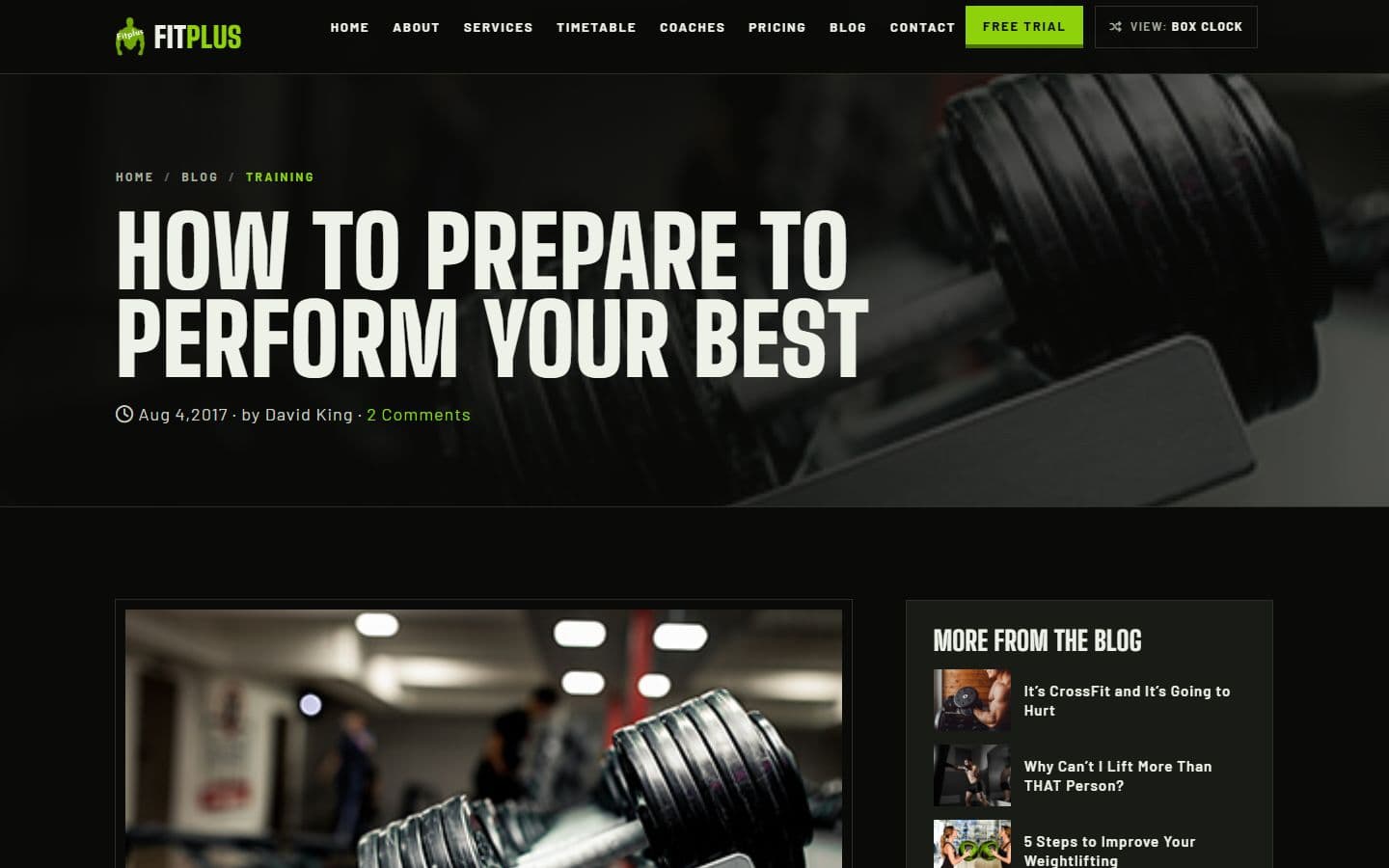 FitPlus Blog post page