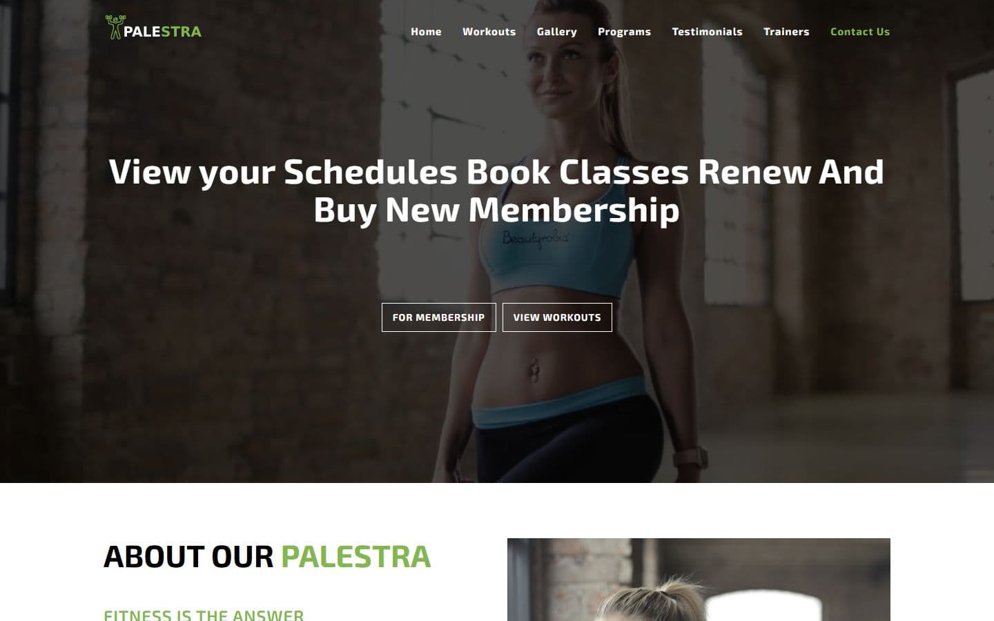 Palestra – Best Gym Websites Design HTML5 Template home page