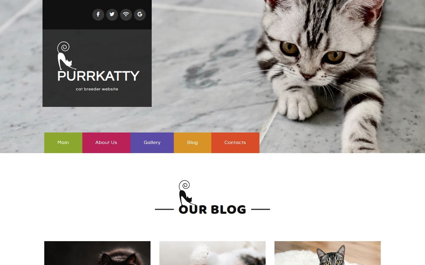 Purrkatty Blog page