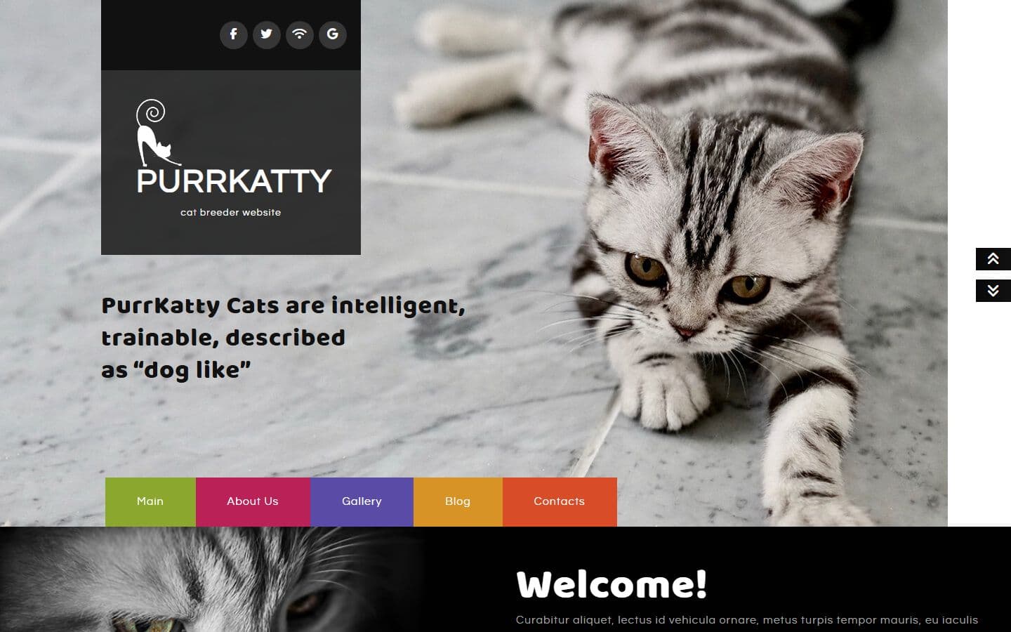 Purrkatty Home page