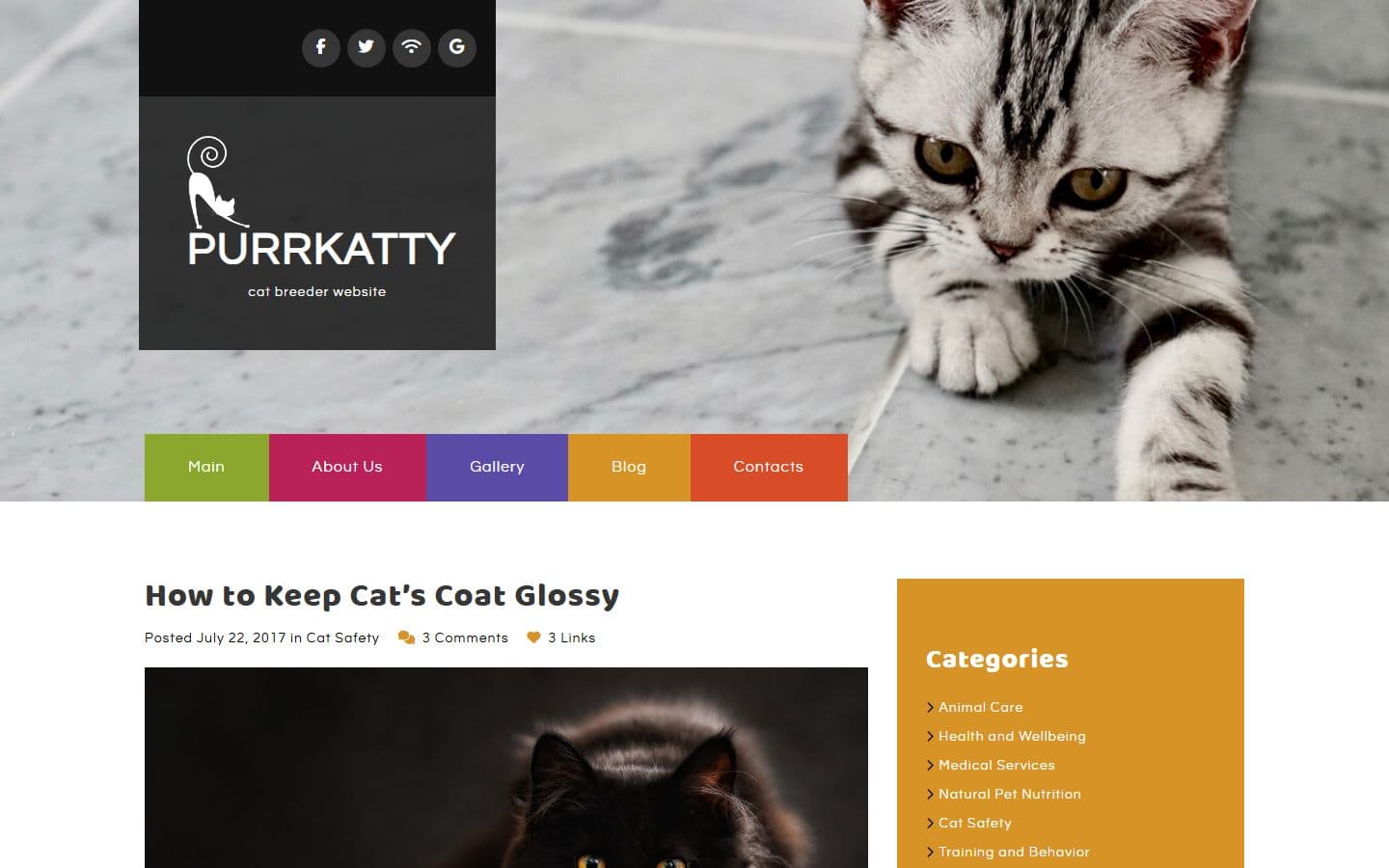 Purrkatty Single blog page