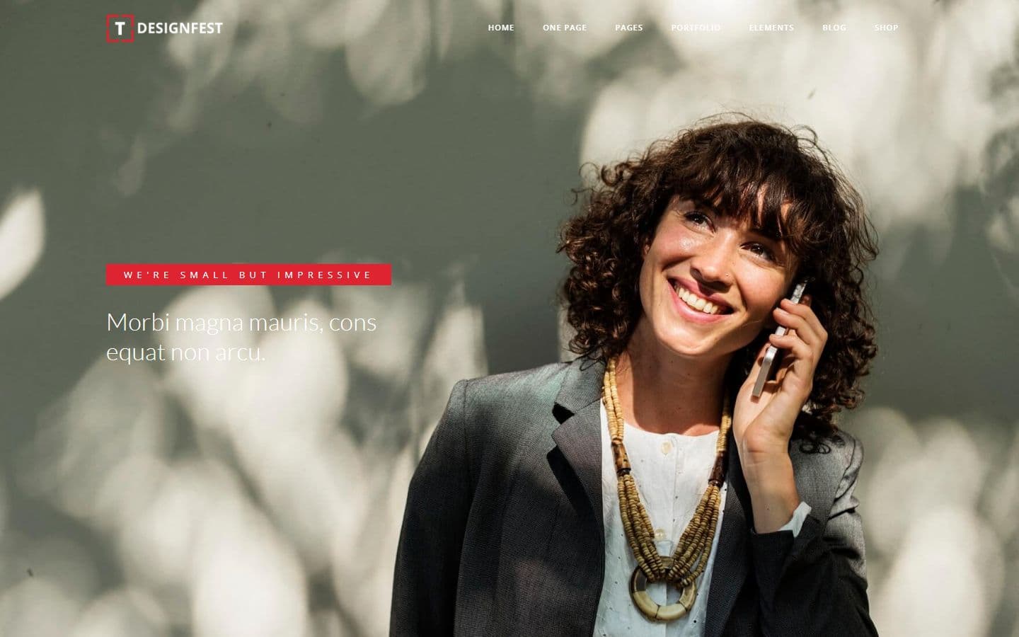 T-Designfest Corporate page