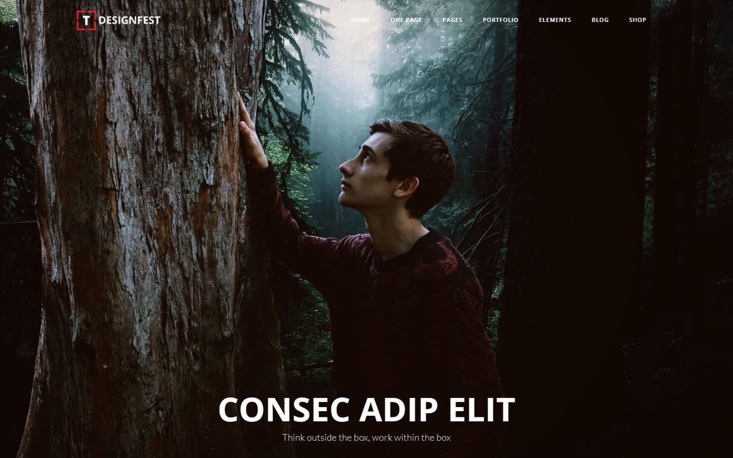 T-Designfest Home fullwidth image page