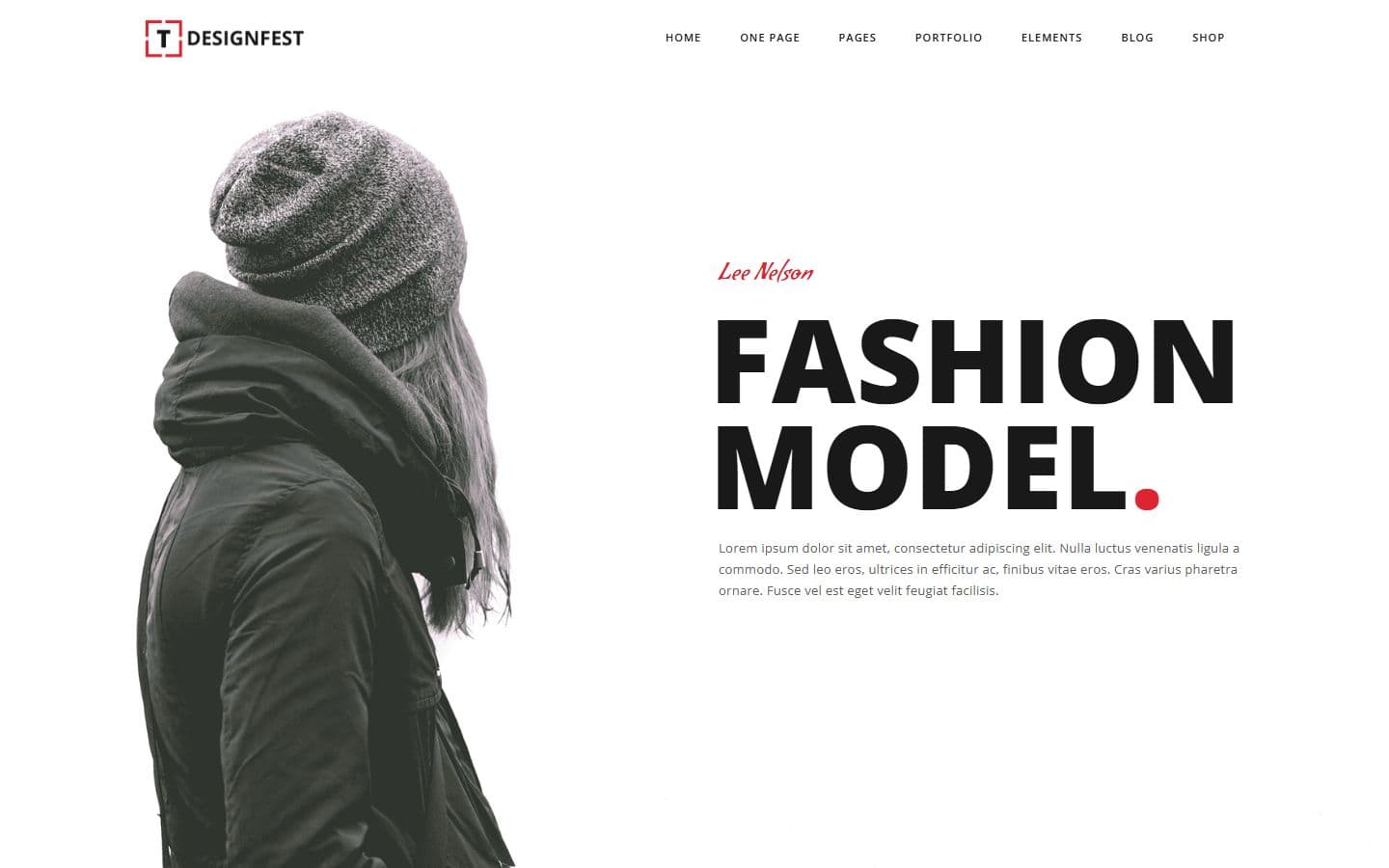 T-Designfest Home parallax4 page