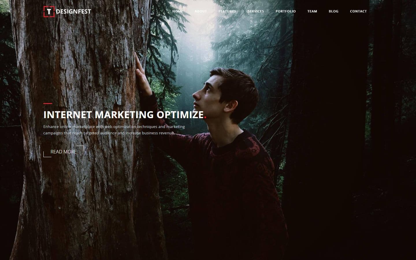 T-Designfest Home single parallax1 page