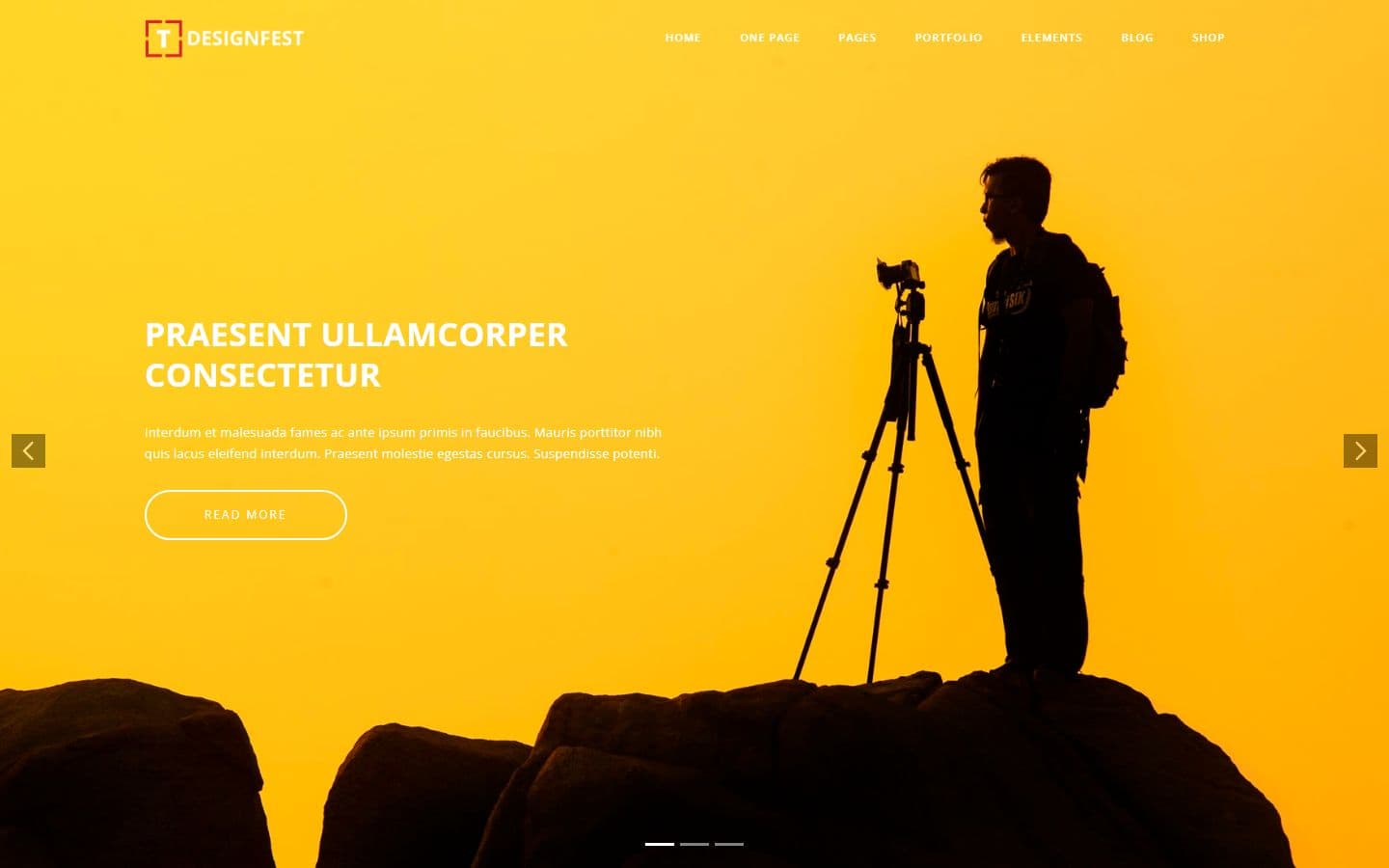 T-Designfest Home slider bootsrap page
