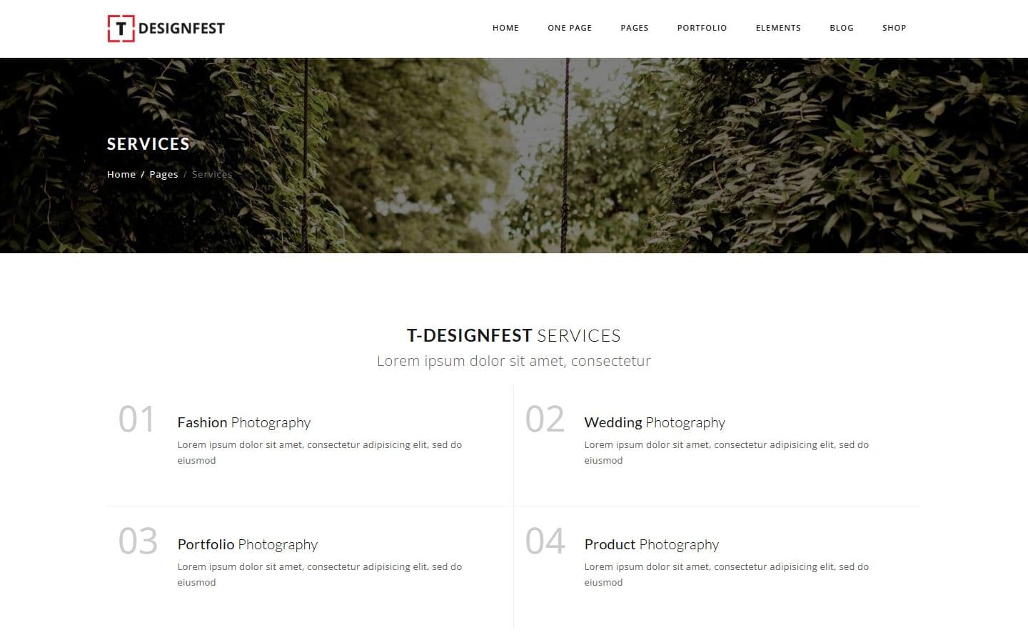 T-Designfest Services page