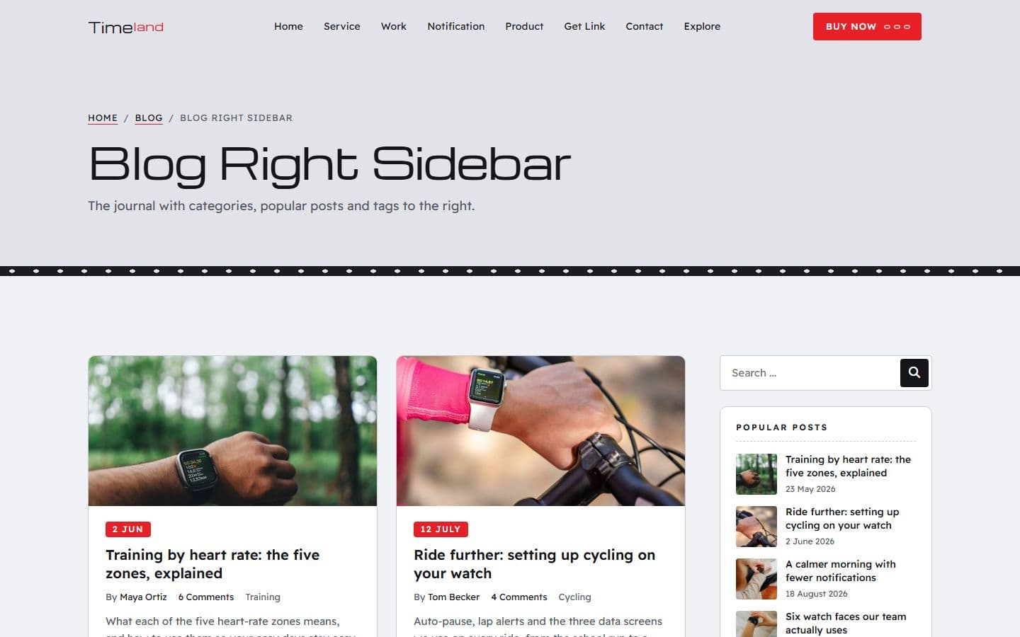 TimeLand Blog right sidebar page