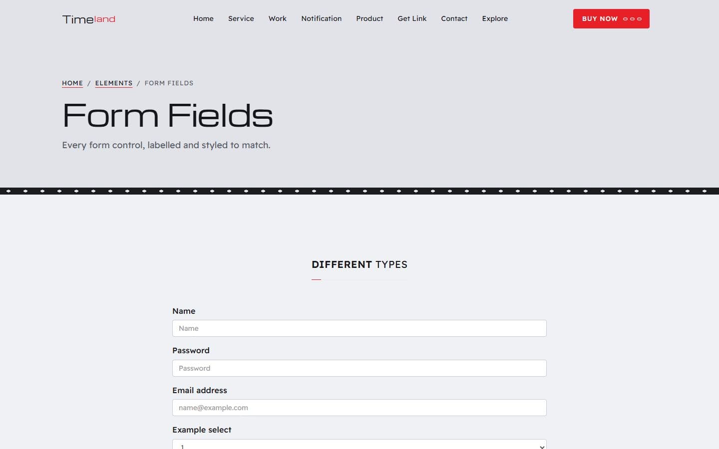 TimeLand Form fields page