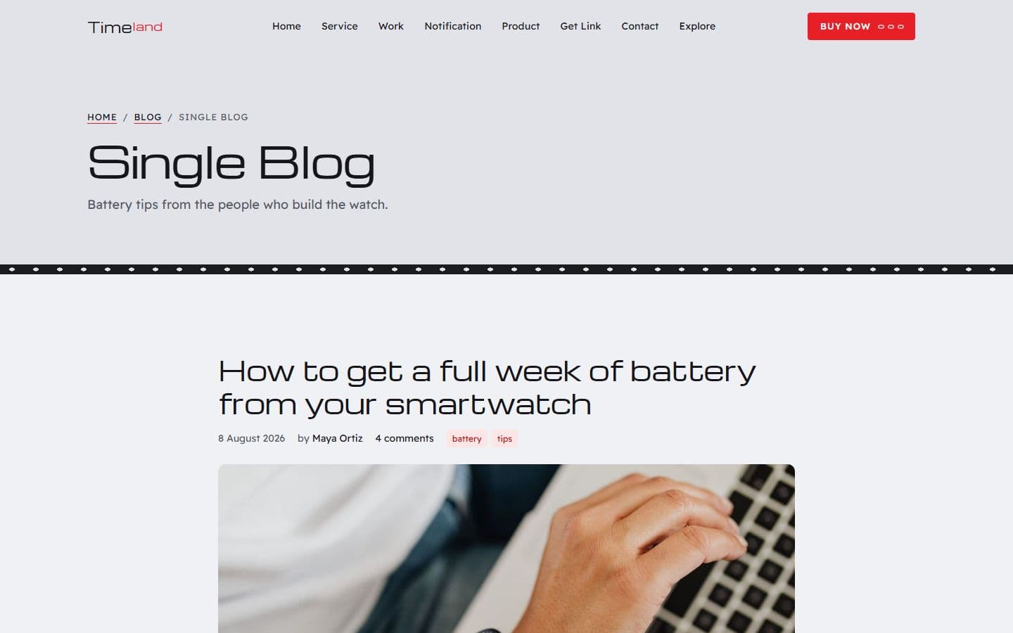 TimeLand Single blog page