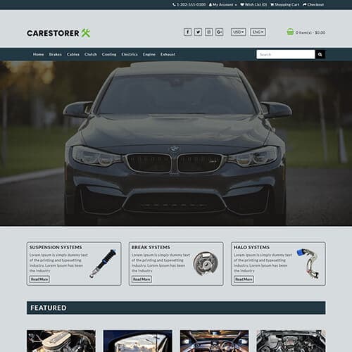 Carestorer template preview