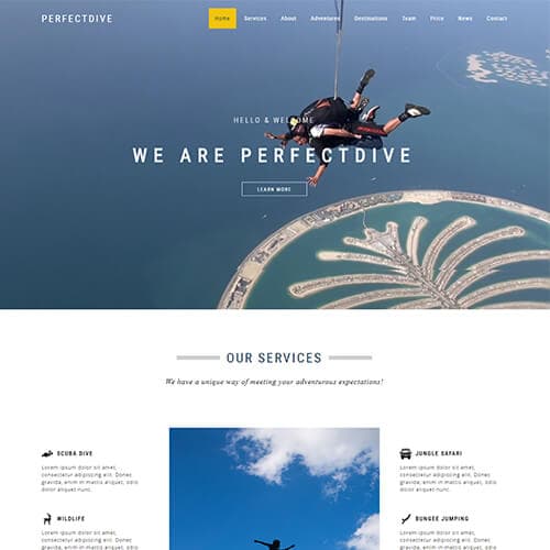 Perfectdive template preview