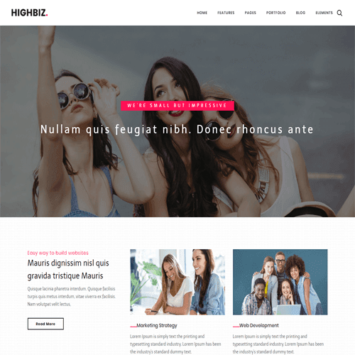 Highbiz template preview