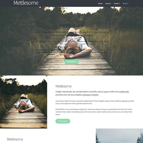 Mettlesome template preview