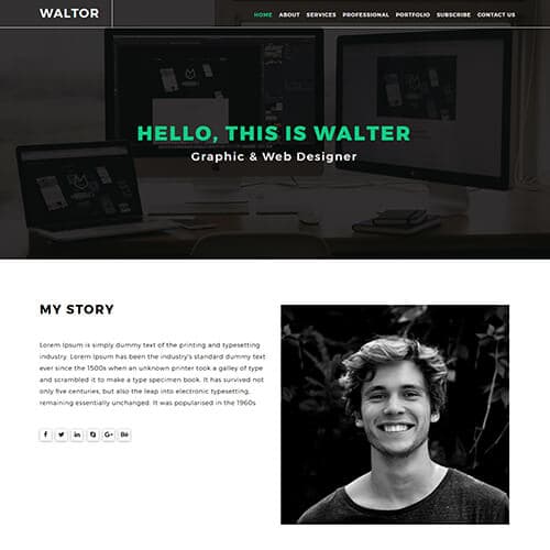 Walter-Hadon template preview