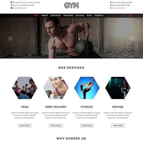 Gym-Vigour template preview