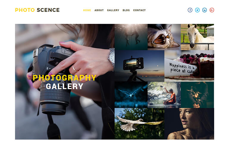 Photo Scence responsive photography website template