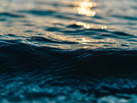 Animatism – CSS3 image hover effect demo 2