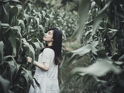 Image Hover – CSS3 image hover effect demo 2