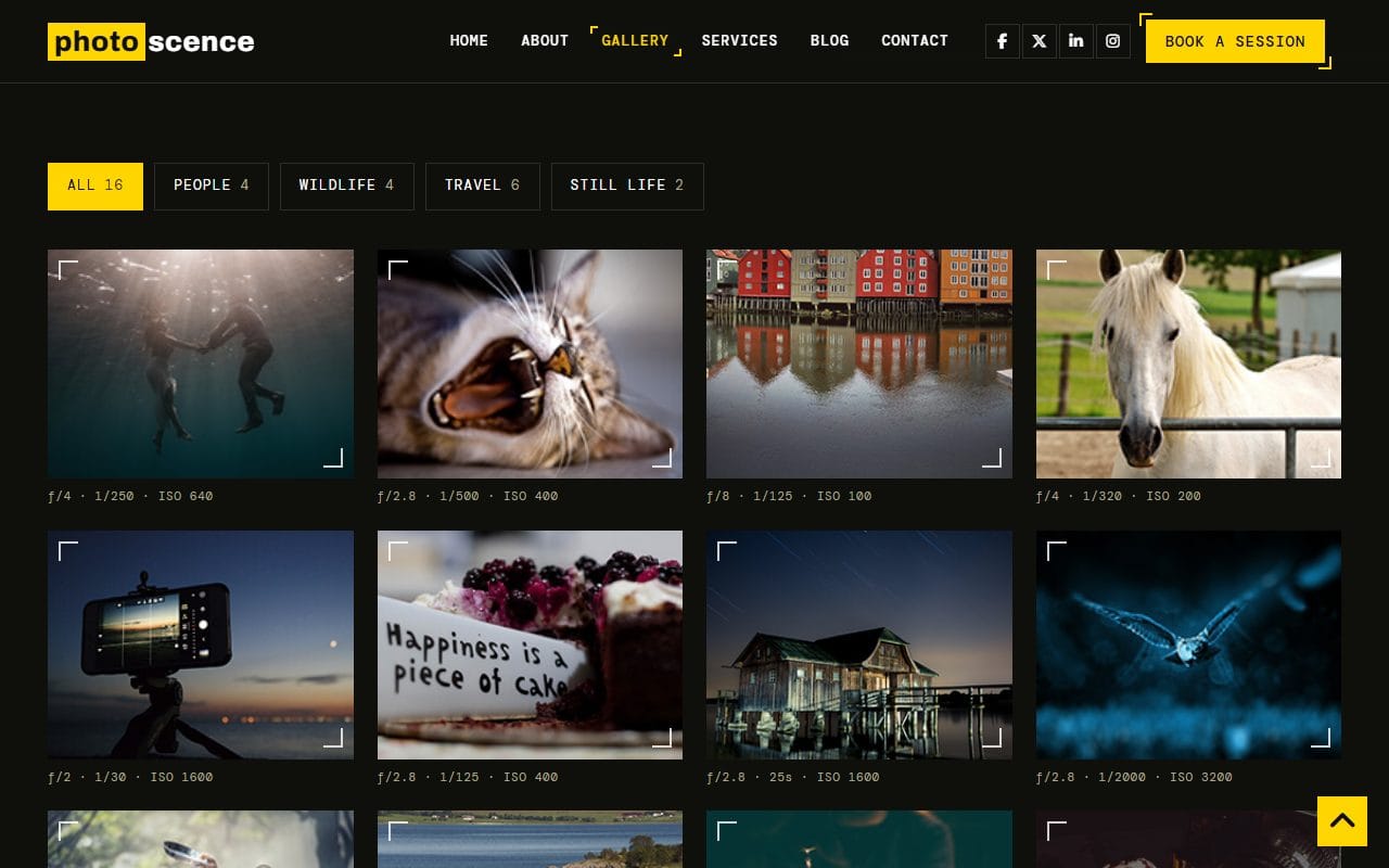 Photoscence photographer website template, gallery page with subject filters